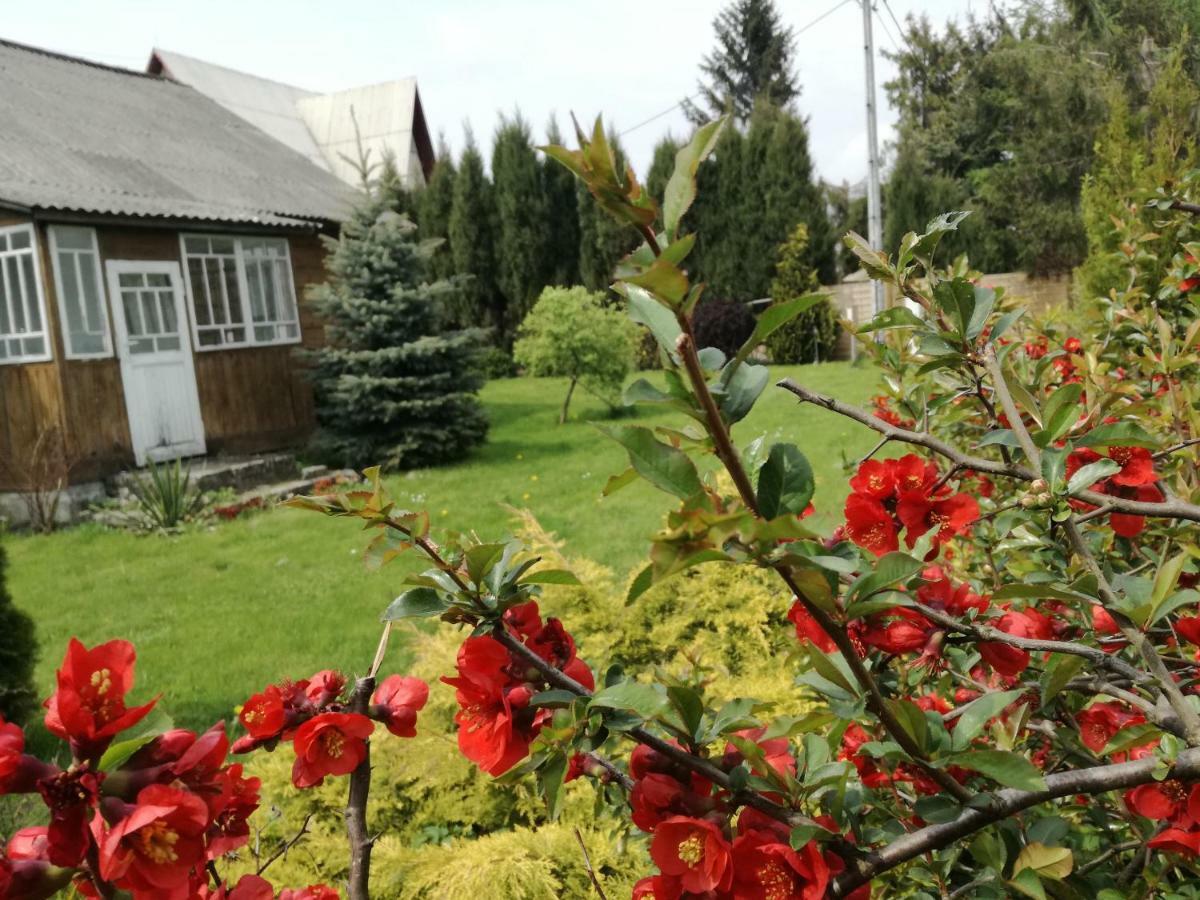 Siedlisko Jozefka Villa Zarobka Exterior photo